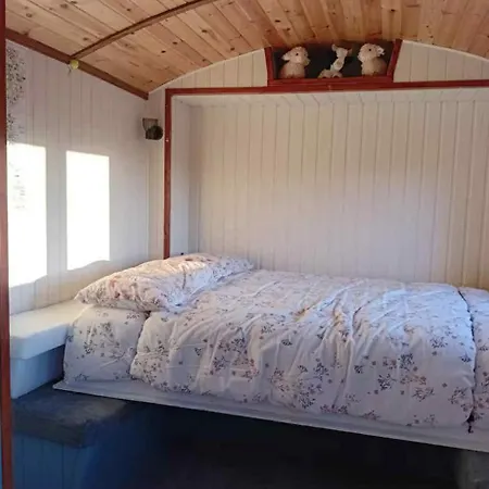 Campeggio The Chestnut Hut